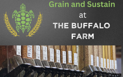Grain & Sustain – at the Buffalo Farm